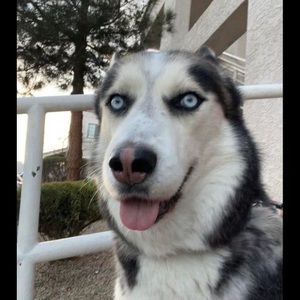 Meet your Posher, Gary